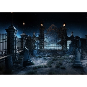 Scary Night Old Shabby Cemetery Halloween Themed Party Backdrop Background