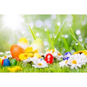 Dewdrop under Sunshine Easter Eggs Flowers on Grassland Vinyl Photo Backdrops