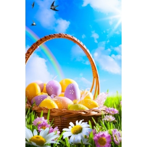 Easter Eggs in Basket on Flowers Grassland Rainbow Clouds Photoshoot Background