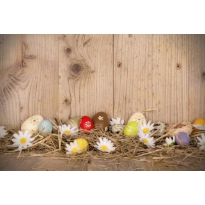 Easter Eggs on Straw Wood Floor Wall Photography Studio Background
