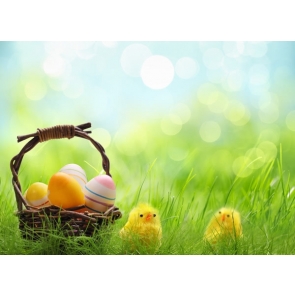 Easter Eggs in Basket Chickens on Grassland Photography Studio Background