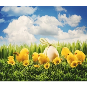 Yellow Chickens around Easter Egg on Grassland Photography Studio Background