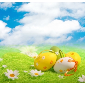 Easter Eggs Flowers on Grassland Blue Sky White Clouds Vinyl Photography Backdrops