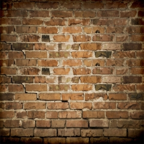 Vinyl Studio Background Partially Damaged Brick Wall Backdrop