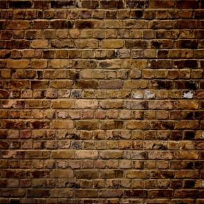 Vintage Rustic Brick Wall Backdrop Studio Stage Photography Background