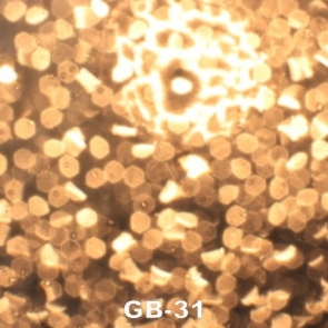 Retro Golden Sequins Unique Photography Background Props