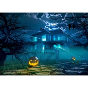 Ghost House Scary Night Skull Pumpkins  Halloween Backdrop Party Background