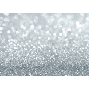 Silver Glitter Bokeh Powder Bright Spot Backdrop Party Photo Props Background