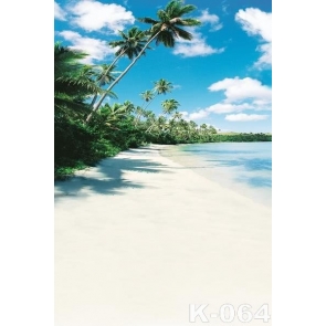 Summer Holiday Hawaiian Seaside Beach Backdrop Background