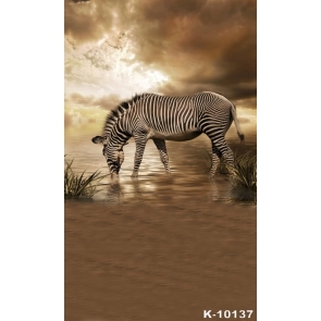 African Themed Zebra Backdrop Photography Background