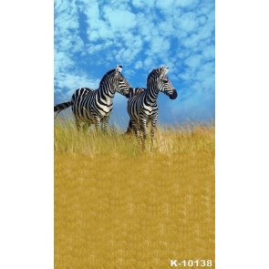 African Safari Zebra Backdrop Photography Party Background