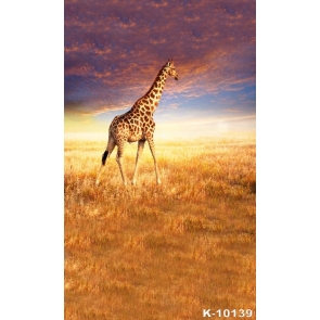 African Safari Themed Giraffe Backdrop Photography Background