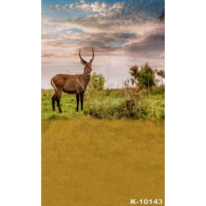 African Safari Antelope Themed Backdrop Photography Party Background