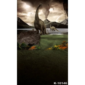 Dinosaur Theme Boy's Roar Birthday Party Backdrop Photography Background