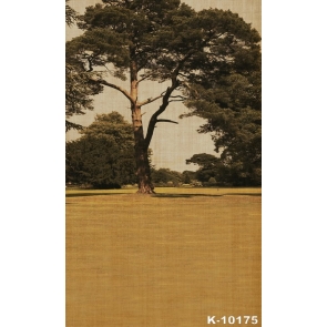 Scenic Big Tree in the Park Vinyl Photography Backdrops