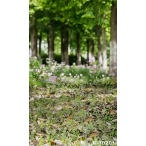 Scenic Grassland in Groves Backdrop Background for Photography