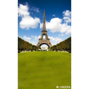 Green Grassland Eiffel Tower Scenic Backdrops for Photography