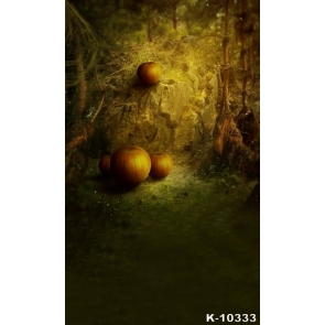 Cobweb Forest  Pumpkin Vinyl Halloween Photography Backdrops Studio Background