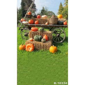 Outdoor Pumpkin Haystack Car Theme Photography Halloween Backdrops