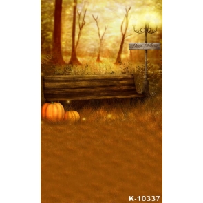 Park Street Light Wooden Bench Pumpkin Vinyl Photography Halloween Backdrops