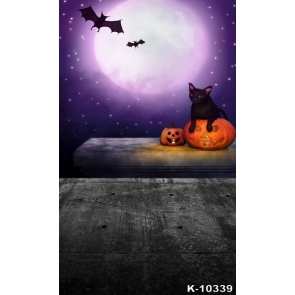 Halloween Moon Bat Cat Pumpkin Theme Vinyl Photography Backdrops