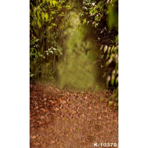 Rustic Forest Road Scenic Background Backdrops for Photography