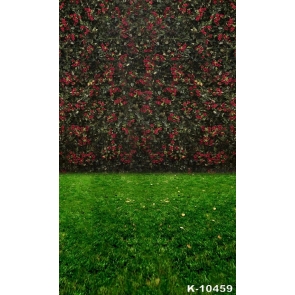Green Grassland Red Flowers Wall Scenic Inexpensive Photography Backdrops