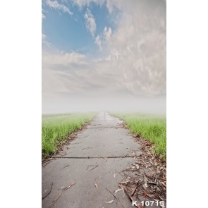 Green Grassland Flagstones Roat Rustic Backdrops for Photography