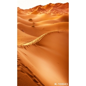 Scenic Desert Vinyl Studio Photo Backgrounds for Photography