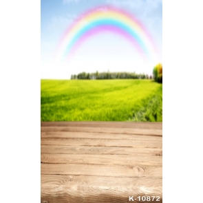 Rainbow over Green Fields Wood Floor Scenic Photography Backdrops
