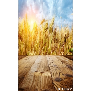 Wheat Field Wood Floor Scenic Studio Picture Backdrop