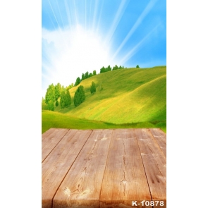 Green Hillside Sunshine Wood Floor Painted Photography Backdrops