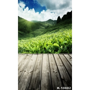 Green Tea Mountain Rustic Scenic Wood Floor Camera Backdrops