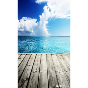Blue Sky Sea Scenic Wood Floor Photographic Studio Backdrops