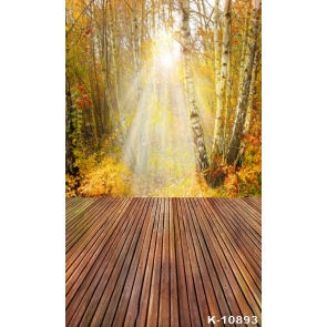 Sunshine Through Yellow Forest Wood Floor Photography Backdrops