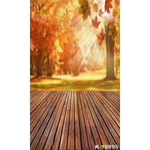 Autumn Fall Red Maple Scenic Wood Floor Studio Backdrops