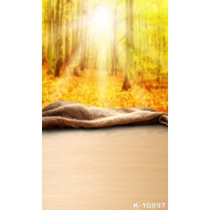 Autumn Fall Rustic Yellow Forest Wood Photography Background Props