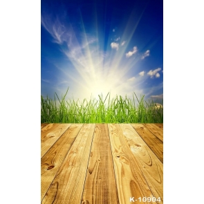 Sunshine Blue Sky Green Grass Wood Photography Background Props