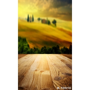 Scenic Rustic Blurred Background Wood Camera Backdrops