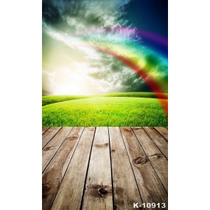 Spring Rainbow over Green Grassland Wood Floor Drop Studios Backdrops