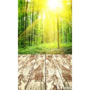 Sunshine Through Green Forest Wood Floor Photo Wall Backdrop