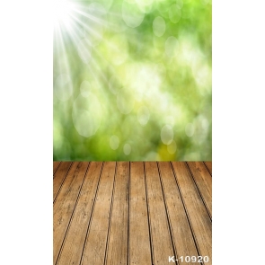 Green Background Sunshine Halo Wood Floor Photography Backdrops