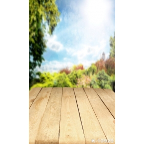 Fuzzy Sunny Day Blue Sky White Clouds Wood Floor Spring Photo Backdrop