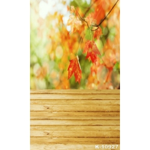 Autumn Fall Red Leaves Background Wood Floor Photo Wall Backdrop