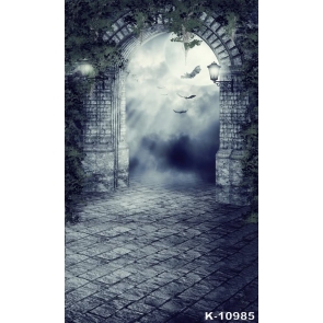 Archaic Stone Gate Moonlight Bats Building Vinyl Photography Backdrops