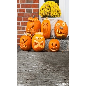 Various Styling Style Pumpkin Flower Stone Vinyl Photography Halloween Backdrops