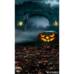 Cobweb Stone Wall With Pumpkin Theme Vinyl Photography Backdrops