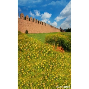 Outside Wall Yellow Wild Flowers Scenic Photo Drop Background