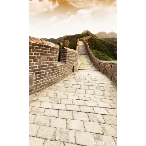 The Great Wall in China Scenic Professional Photography Backdrops