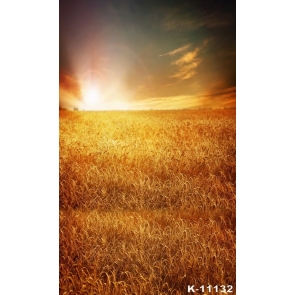Autumn Fall Golden Wheat Field Sunset Scenic Rustic Backdrops for Photography